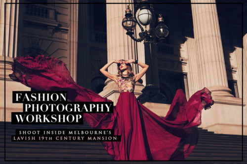 forget-them-wendy: Hi guys, my sister and I are hosting a photography workshop on 1st December 2018 