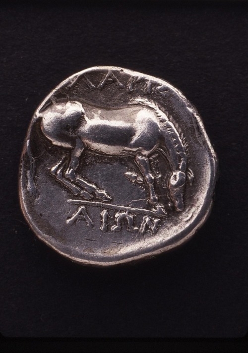 theancientwayoflife:~ Drachm with the head of nymph Larissa.Culture: GreekPlace of origin: Mediterra