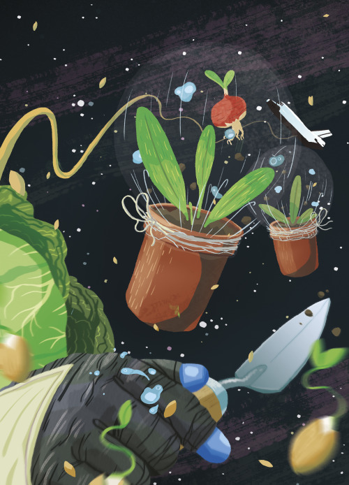 timmydraws:  EDIT: Tumblr Radar! Thanks guys! NASA are growing vegetables in space! That stuck with me for days, so I did a quick personal illustration on it. Not scientifically accurate at all, but hey, artistic license. Check out my other work here.