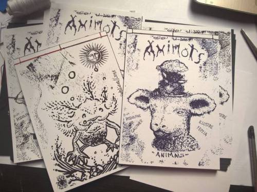 Animots/AnimalsLivre sérigraphié : poèmes + gravuresRodolphe Gauthier + Illustre Fecciahttp://editio