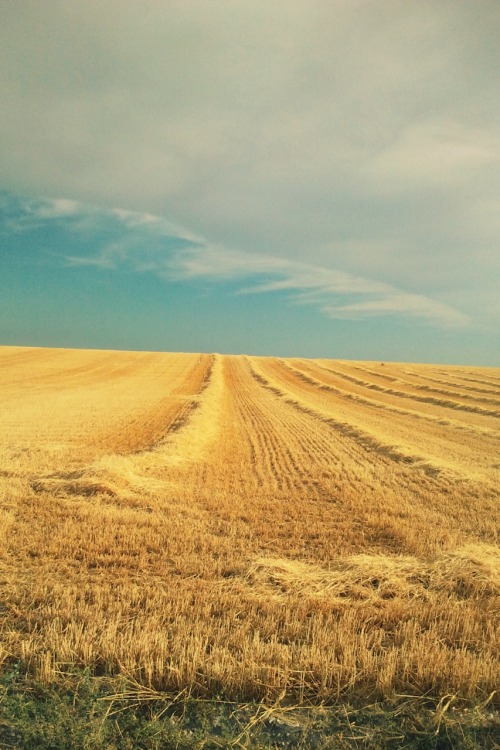 blanxmobileuploads: Azul y Amarillo