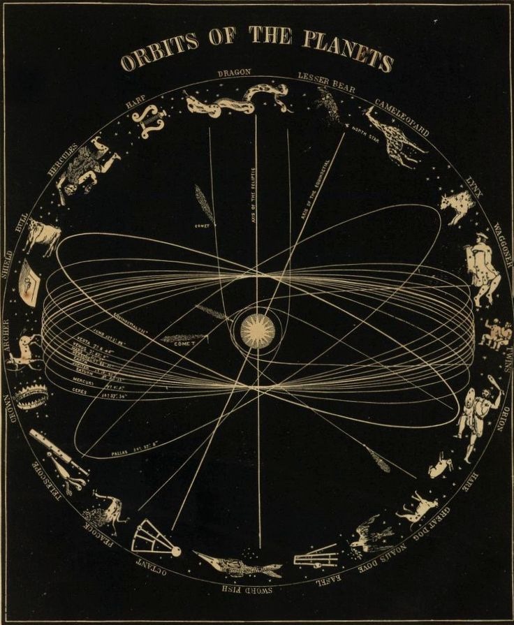 mirabilia-provocateur:  Orbits of the Planets  The Provocateur