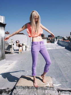 Flawhs:  ✰ Bambi/Indie Blog ✰ 