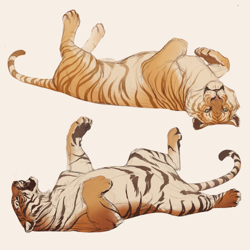 I’ve used my time as best as I could and drew The World’s Best Big Cats. Lazy burrito cats