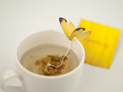 rcruzniemiec:  Butterfly Tea Yena Lee This is the day and age of packaging! Quality products do sell well, but to give them that creative edge, they need to be packaged well. For example a great tasting tea will always be bought, but if it’s sold as