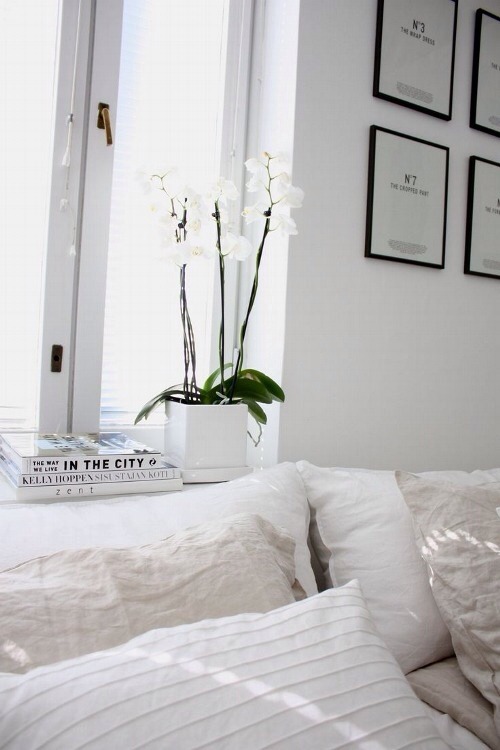 live minimalistic