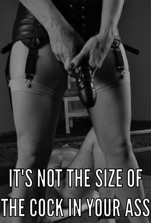 bratliketread:It’s the size of your ass on the cock