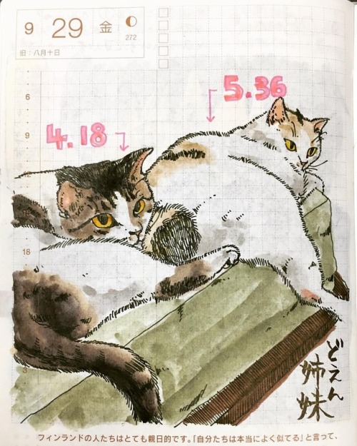 数字は体重です。 #猫 #neko # #catstagram #cat #ねこ #ねこすたぐらむ #illustration #doodle #drawing #art #イラストレーション #イラ