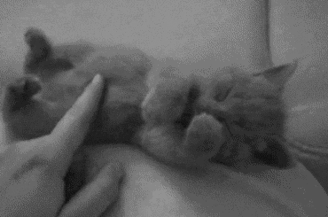 Aww** ❤️