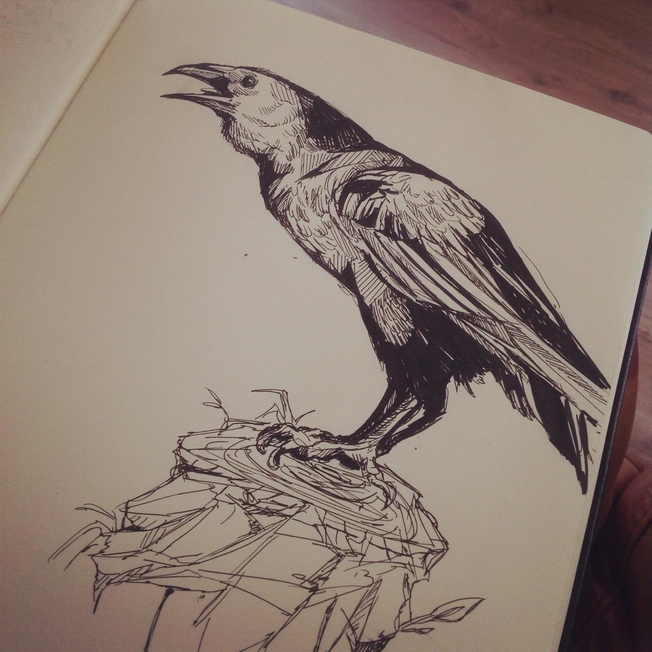 wolfskulljack:  Sketch book pages. I’m in Oxfordshire visiting my parents at the