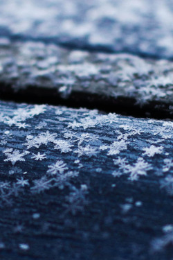 ponderation:  Snowflakes on the Roof by ILIAS NIOTIS   