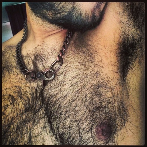 uncensoredisclosure:  uncensoredisclosure.tumblr.com  Great photo shot - hairy chest and pits - WOOF