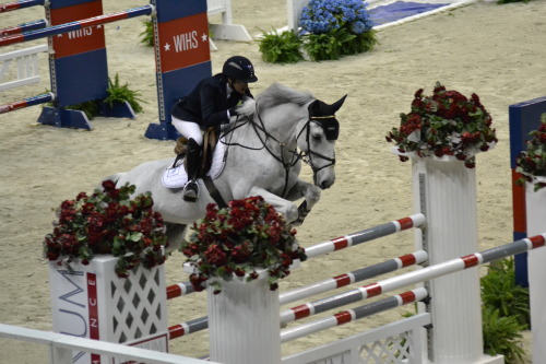 WIHS 2014 &copy; Ranglo