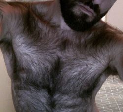 rachiflex: Fur coat? Nope, chest hair. 👍