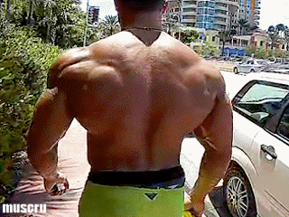 uberswol2:  W I D E : Johan Fehd Karouani