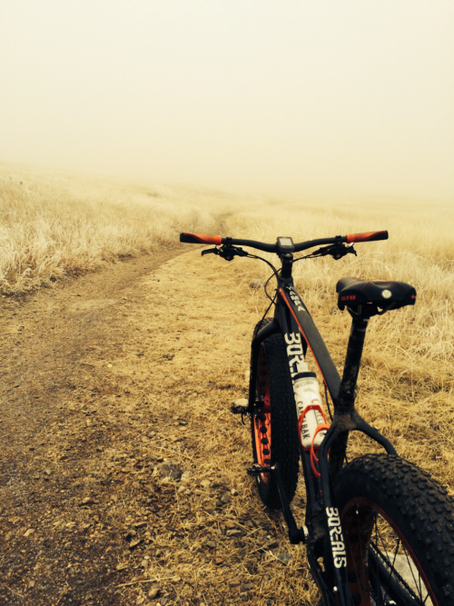 Riding thru the frozen tundra on the #fatbike #lunchride