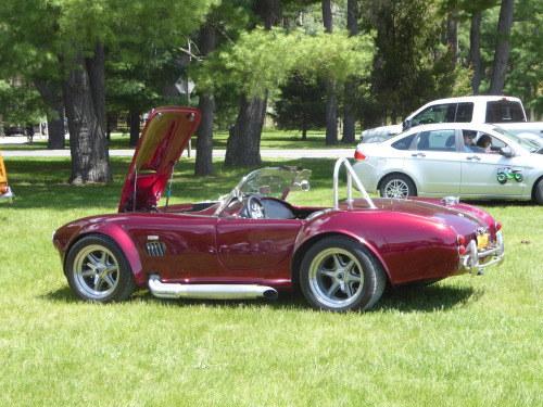 fromcruise-instoconcours:  Shelby Cobra replica