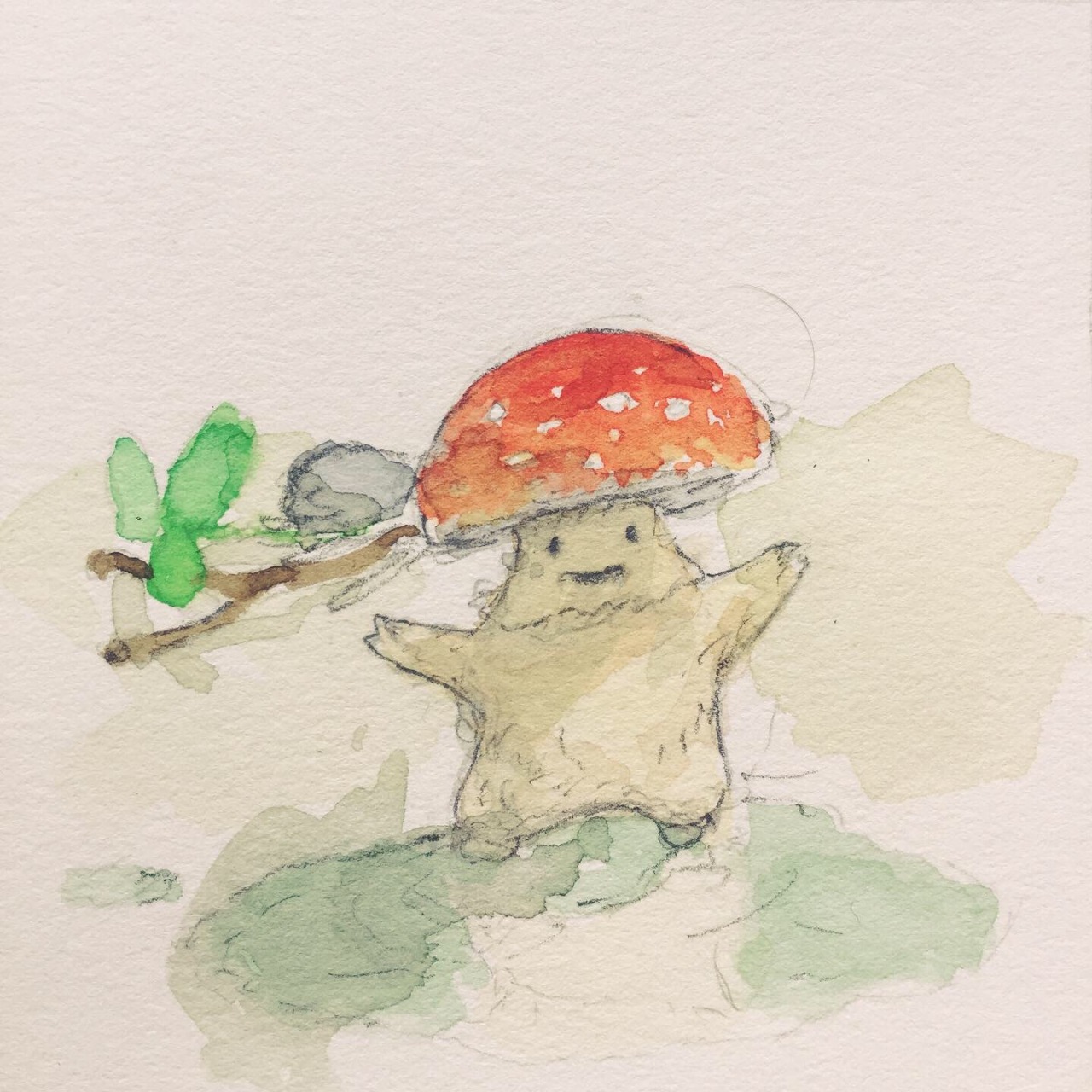 studio-thomas-walsh:A little mushroom finds a puddle