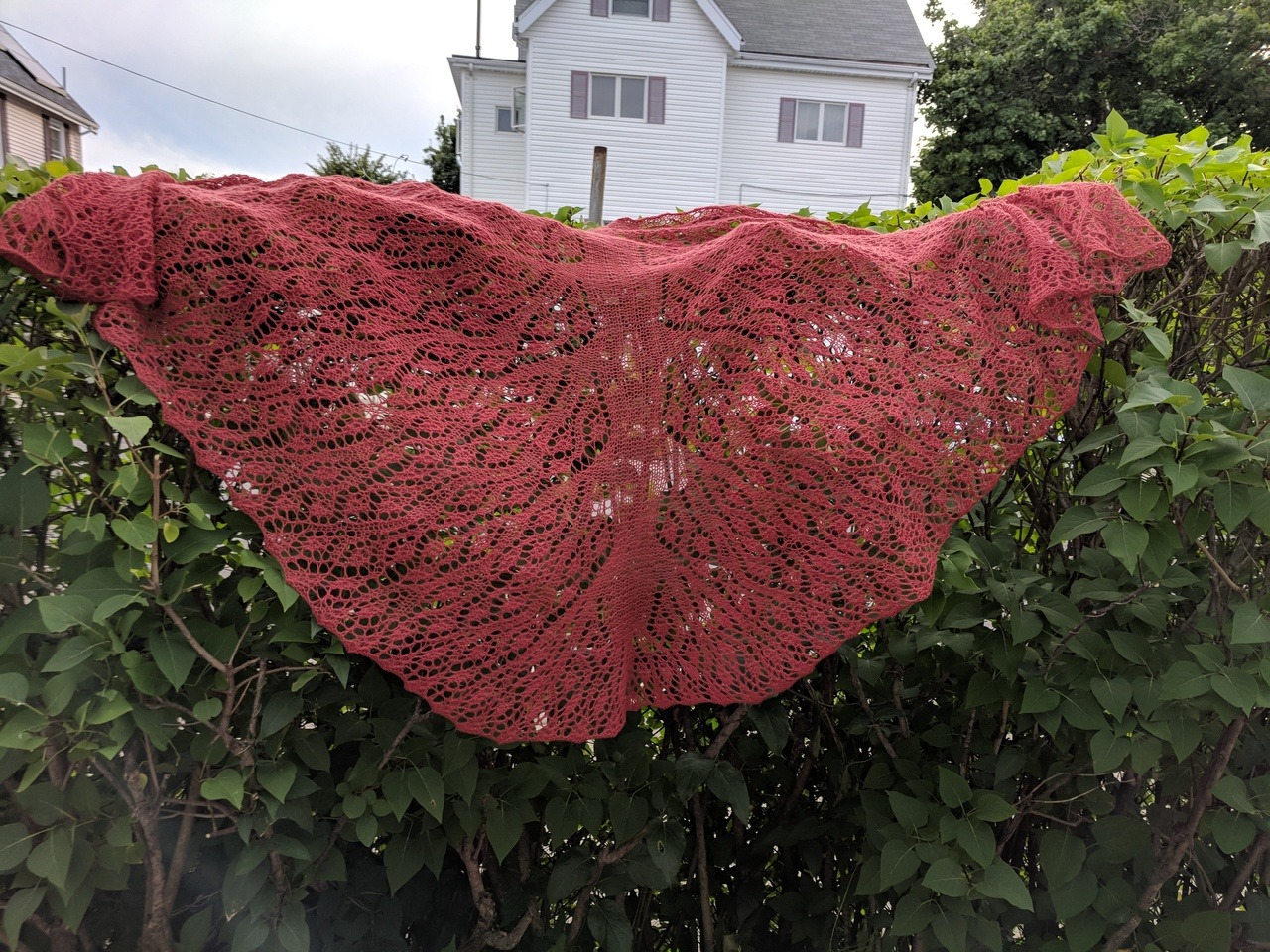 I made a Big Elaborate Lace Thing! it’s so big! and so lacy!
ravelry project link here: weirwood shawl