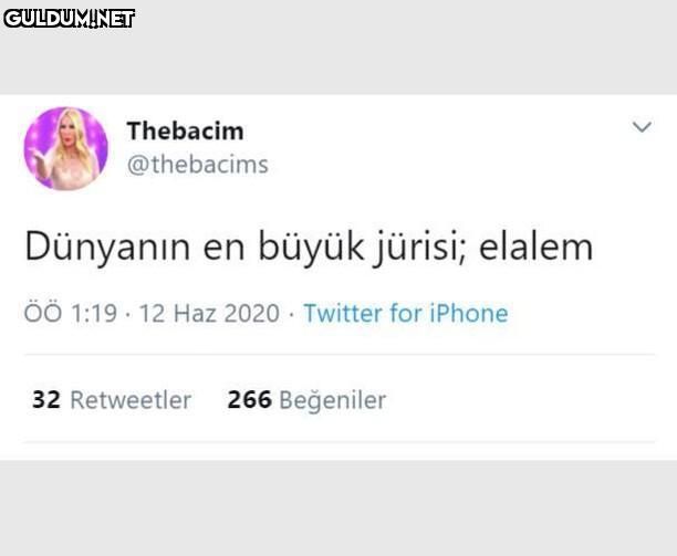 Thebacim @thebacims...