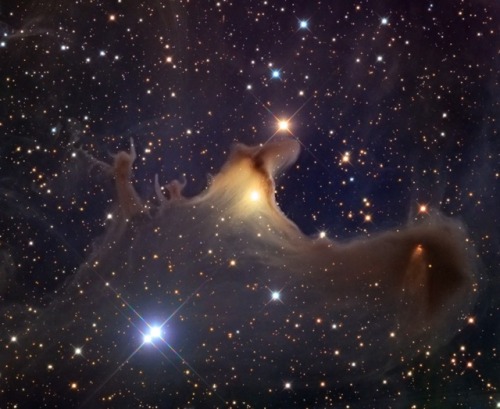 Ghost of the Cepheus FlareImage Credit: Adam Block, Mt. Lemmon SkyCenter, University of Arizona