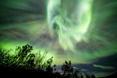 An explosive aurora over Tromsö, Norway [2048×1365] Photographed by Role Bigler