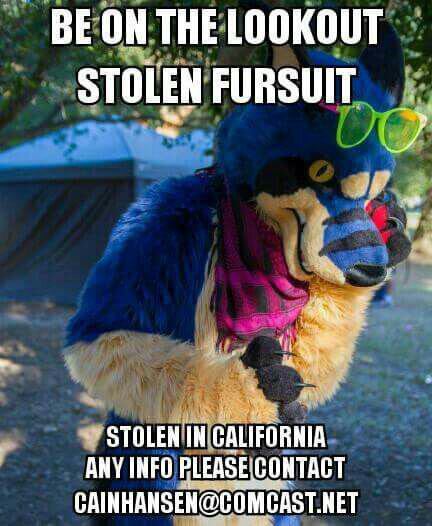 fudge-the-otter:  kaida-draws:  fyeahfursuiting:  Haii.. think you can post this for me. The suit was stolen and I’m trying to spread the word  NC reboost! cuz I would kill the guy that stole my suit!  No killing necessary… But please do help this