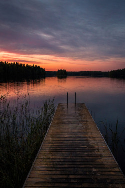 etherealvistas:  Someone went for a swim