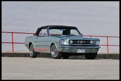 vehicles36:  1965 Ford Mustang GT