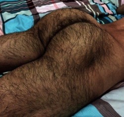 hairygaycum:Miam