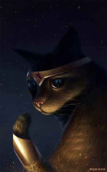 longlivethebat-universe:  Justice Cats of America