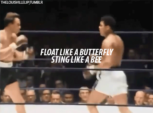Ali Bomaye Muhammad Ali S Reflexes Were Out Of This World