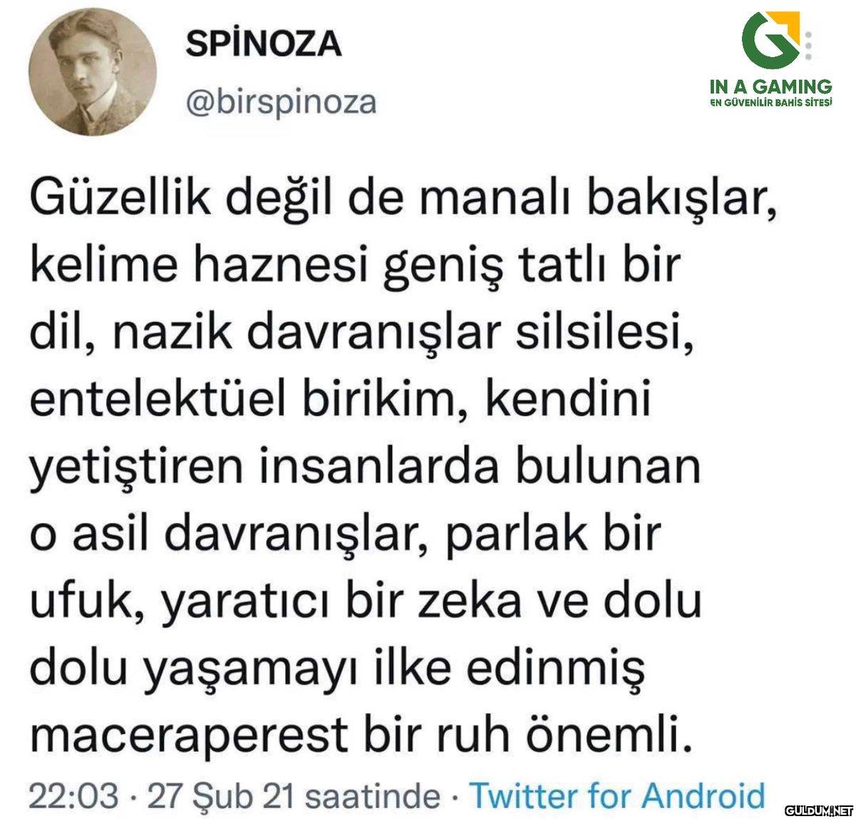 SPİNOZA @birspinoza...