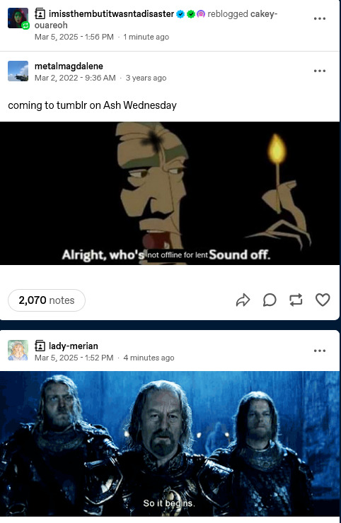 Tumblr media