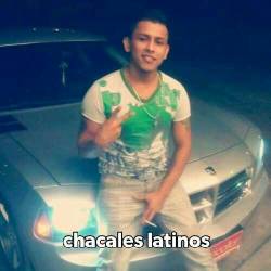chacales-latinos:  Otro vergon chacalon