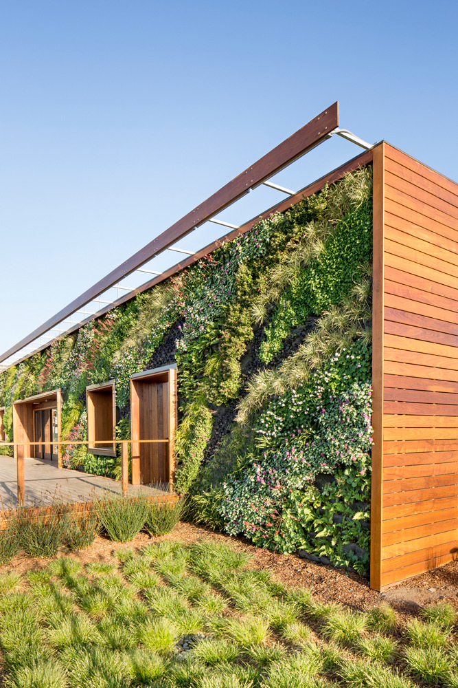 wglandscape:  Bay Meadows Welcome Center. Living wall by Habitat Horticulture. source