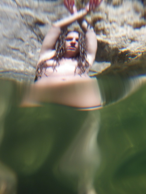 animalmagikphotography:  Back in Your Element:MissM4acaroniPhotos by Patrick Haines AnimalMagikPhotographyAustin TX 2015Please reblog with notes intactMore shots with the submersible camera, a mix of under and just below the surface shots…I really wanted