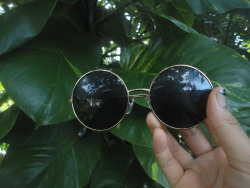 tropical-freesh:  the amount of pics i have of my glasses are unreal.