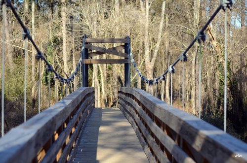 atlantainpictures:  A suspension bridge in the Morningside Nature Preserve.