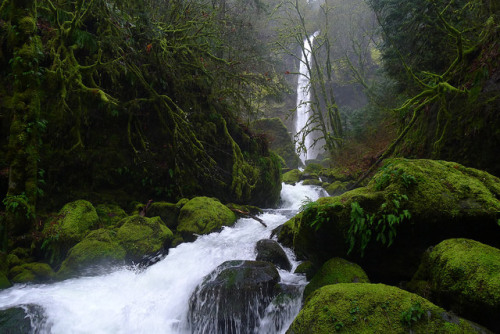 Elowah Falls Three by Twinkle Tobes on Flickr.