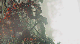 What A Company I Ended Up With, Geralt Continued, Shaking His Head. Brothers In Arms! A Team Of Heroes!