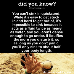 megameatloafcake:  ladyfabulous:   did-you-kno:   Let’s review. YEP. NOPE. Yuh huh. Nuh uh. Source    Growing up in the 80s and early 90s really made quicksand a thing to be feared.    