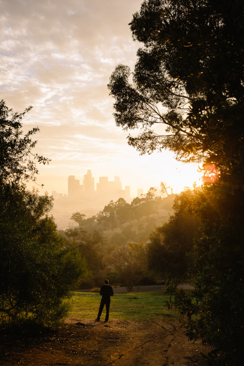 christophermfowler:Elysian Park | Los Angeles, CA | January 2018