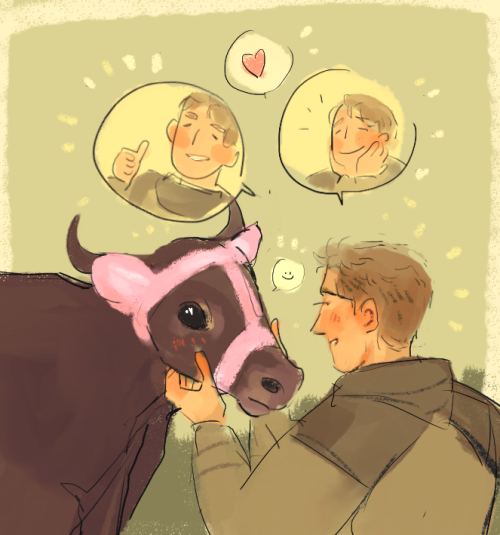 so today i learned about cow earmuffs…. yeah,,