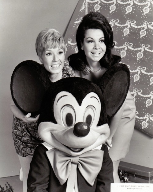 broadcastarchive-umd:Annette Funicello dead at 70L.A. Times: “Annette Funicello, the dark-haired dar