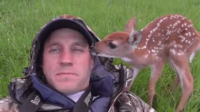 Sex sizvideos:  Baby Deer Refuses To Leave The pictures