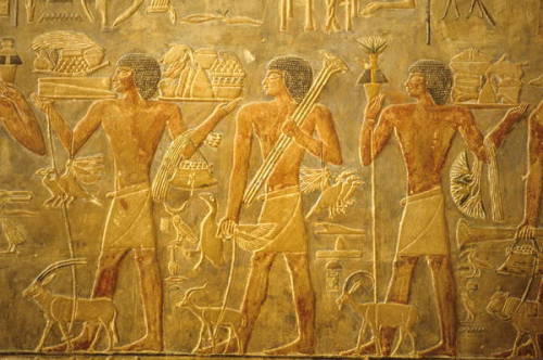 Offering BearersRelief depicting offering bearers, detail of a wall carving from the Mastaba of Ptah