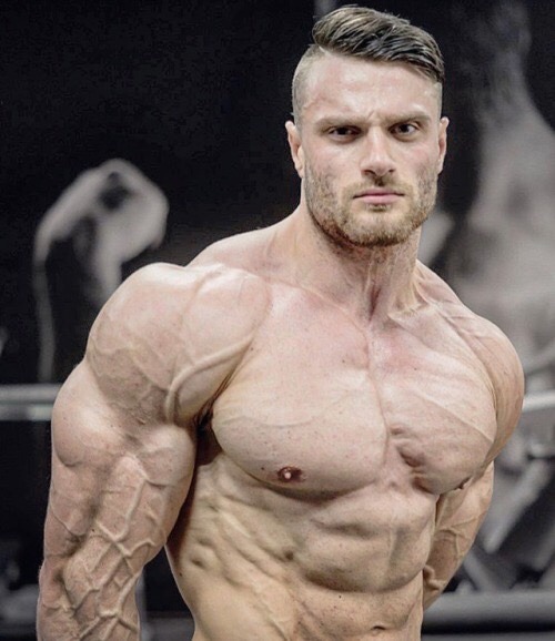musclecorps:  