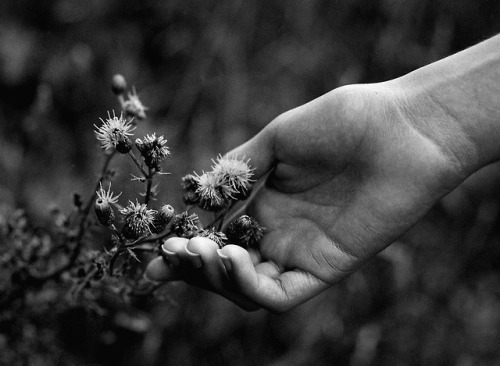 ‘Untitled’  by Yarden Lawson