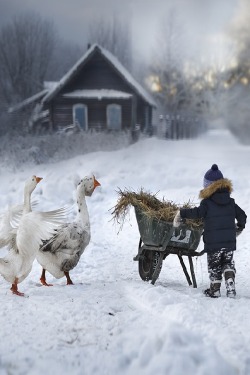 ponderation:  *** by Elena Shumilova 